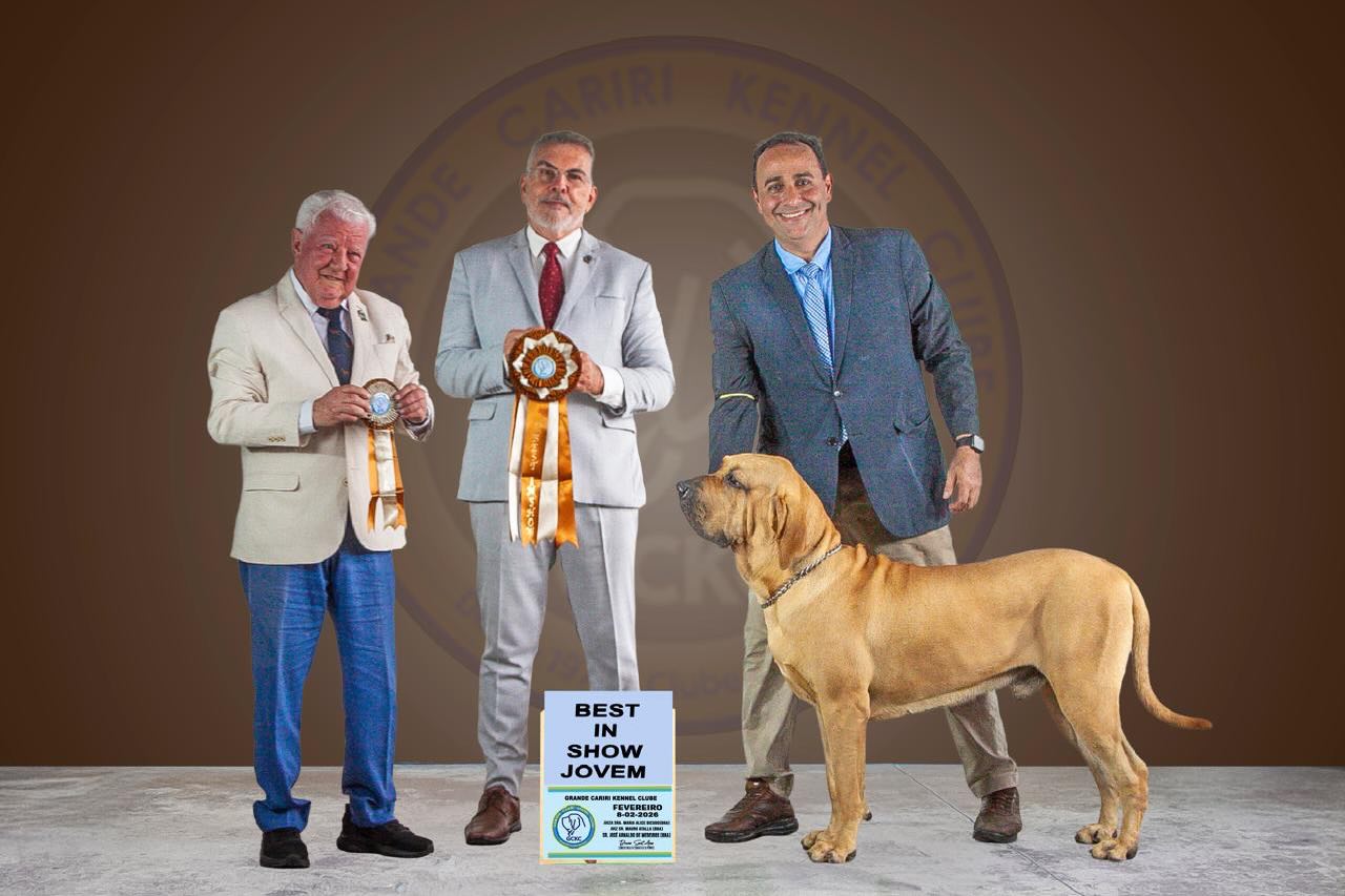 SaveClip.App_643586720_18571751677060364_6464042379747082748_n