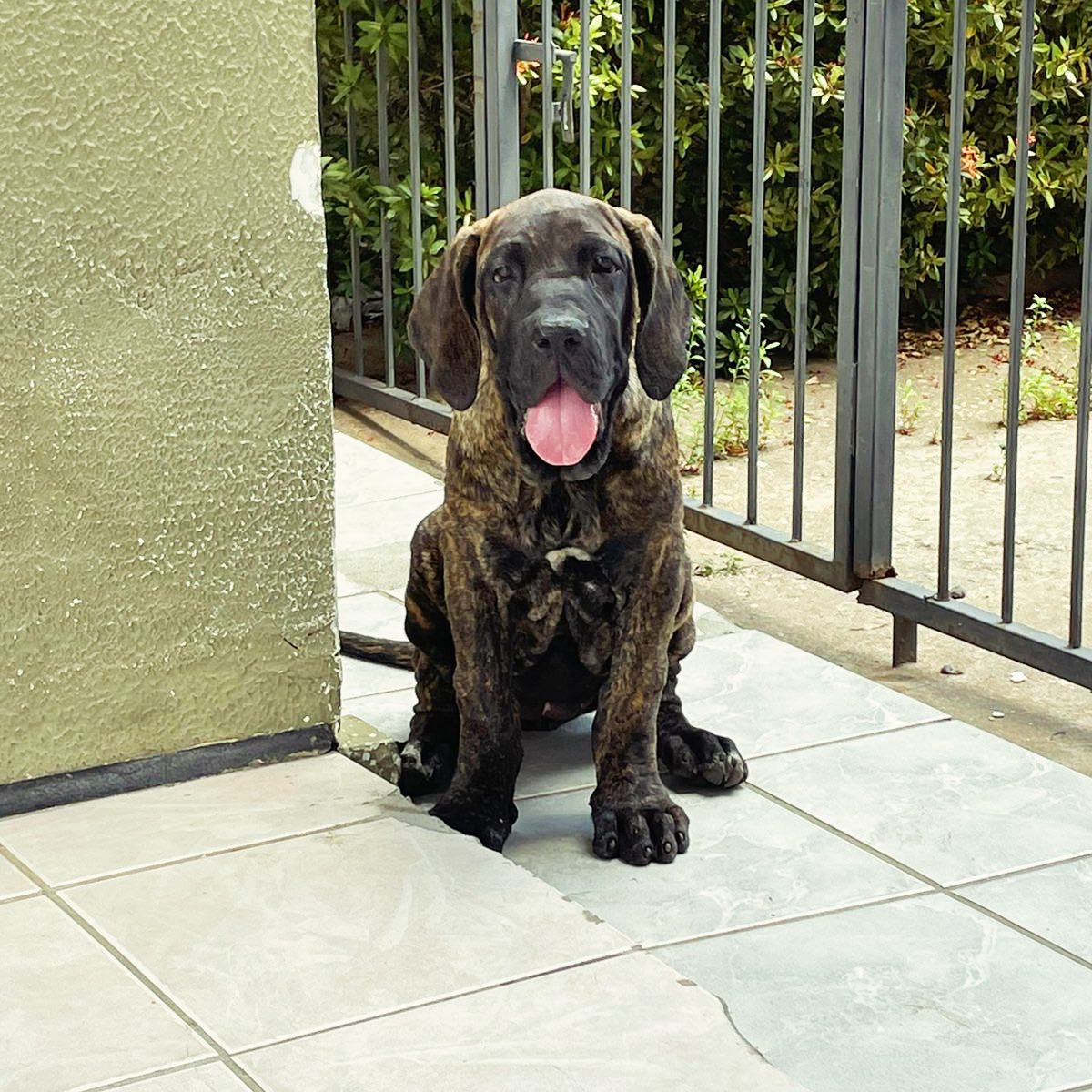 517591405_18517500316060364_3631509611309308165_n