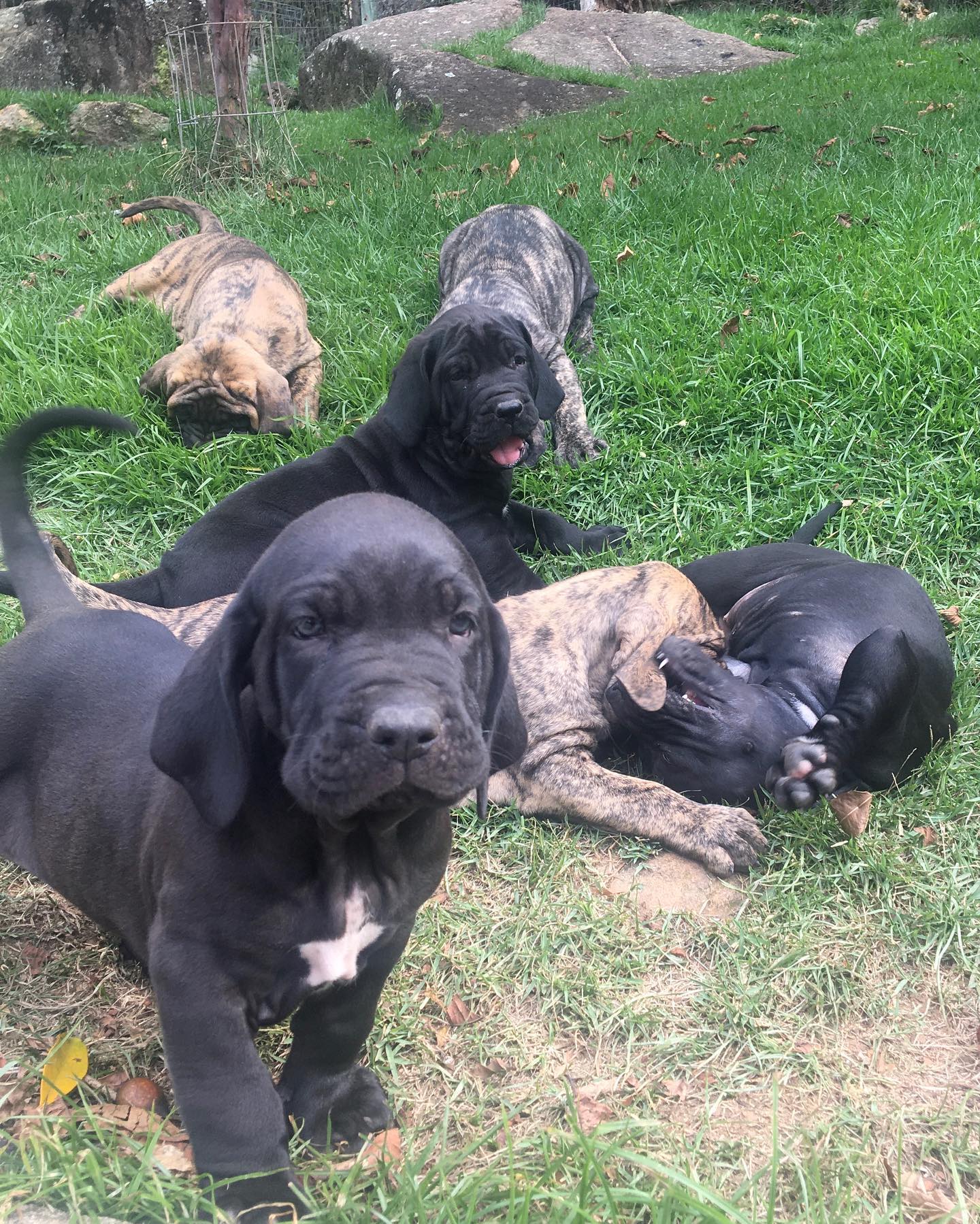 481090382_8947006148761841_6633021059682503460_n