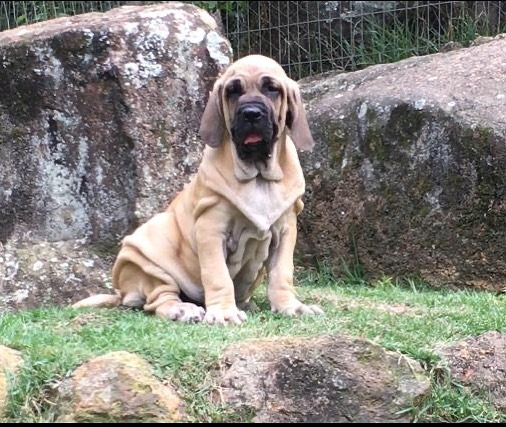 484817271_9043095555819566_7101804999582757461_n