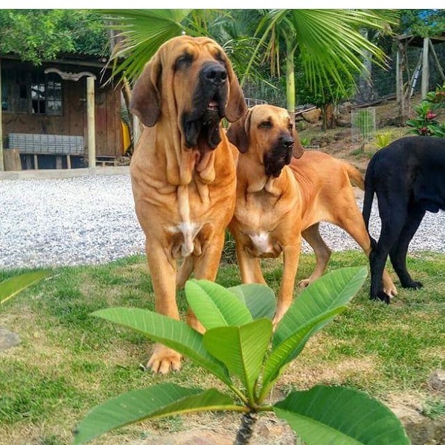 474620200_8735851056544019_8917082122867001824_n