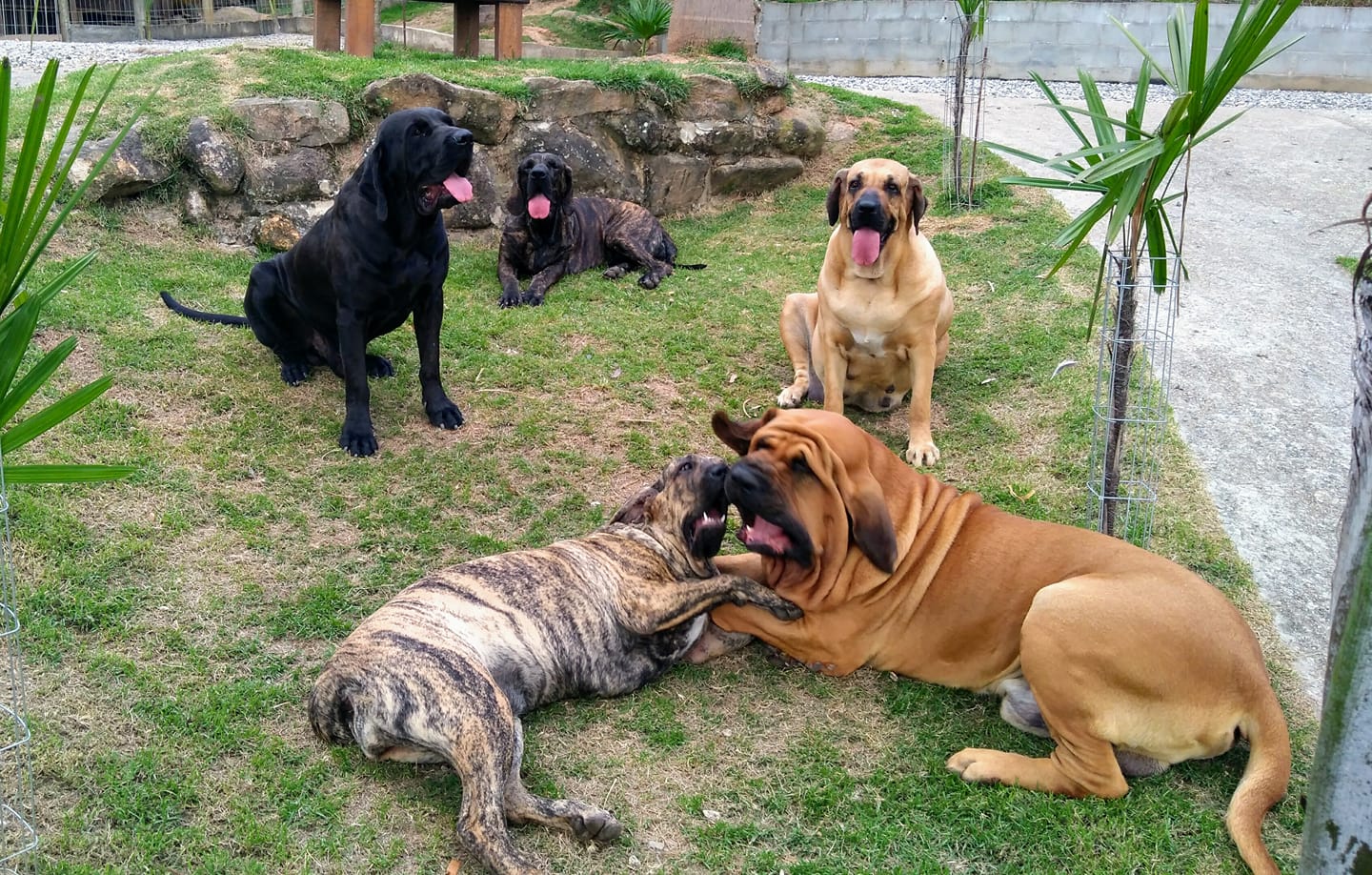 482214901_1202241971907088_279799423271997549_n